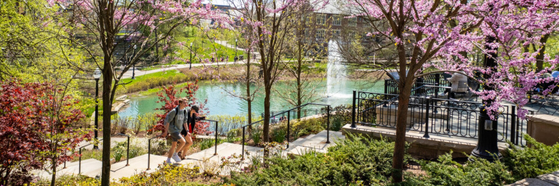 a picture of mirror lake in the spring time