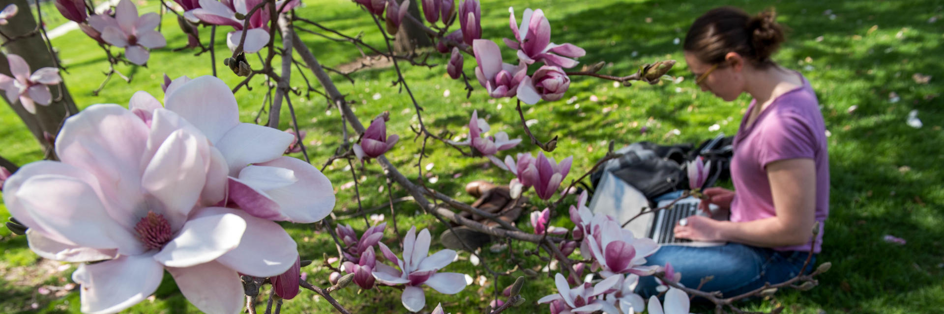 Spring on campus